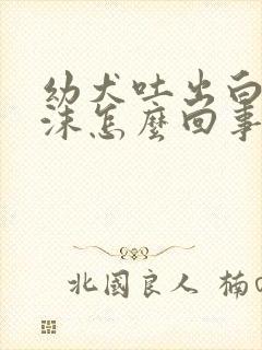 幼犬吐出白色泡沫怎么回事