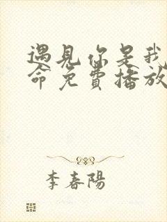 遇见你是我的宿命免费播放