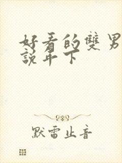 好看的双男主小说年下