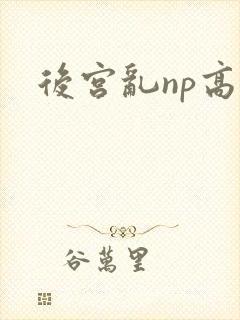 后宫乱np高h