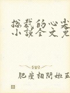 总裁的心尖宠妻小说全文免费阅读