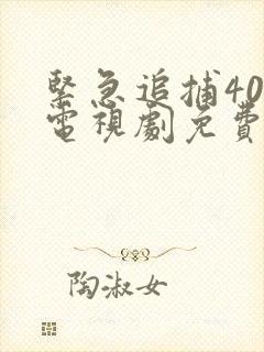 紧急追捕40集电视剧免费观看