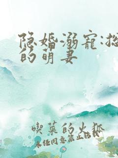 隐婚溺宠:总裁的萌妻