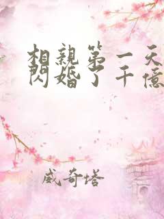 相亲第一天:我闪婚了千亿富翁