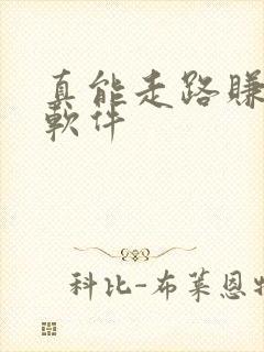 真能走路赚钱的软件