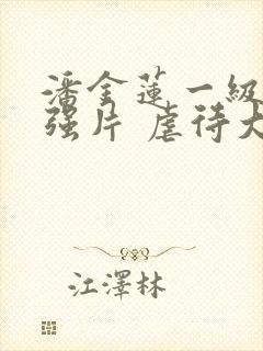 潘金莲一级大片强片 虐待大片