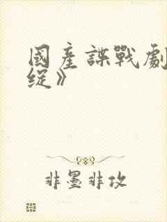 国产谍战剧《破绽》