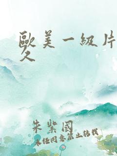 欧美一级片久久久