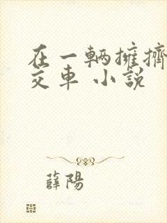 在一辆拥挤的公交车 小说