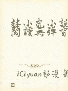 林小岚小说免费阅读无弹窗