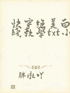 快穿绝美白莲在线教学txt小说