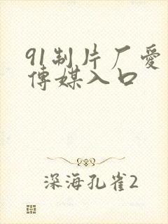 91制片厂爱豆传媒入口