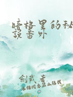 暗格里的秘密小说番外