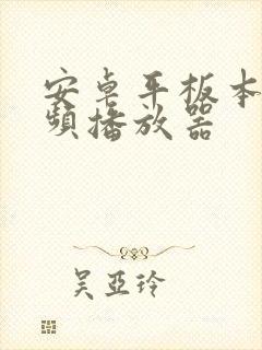 安卓平板本地视频播放器