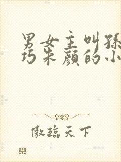 男女主叫孙哲叶巧朱颜的小说