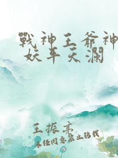 战神王爷神医妃 妖平天澜