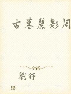 古墓丽影周年版