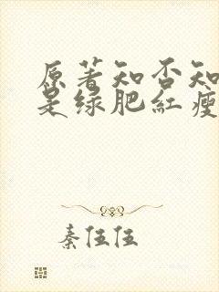 原著知否知否应是绿肥红瘦