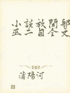 小说放开那个女巫二目全文在线阅读