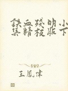 铁血残明小说全集精校版下载