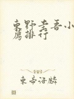 东野圭吾小说推荐排行