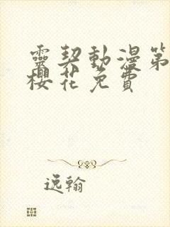 灵契动漫第一季樱花免费