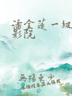 潘金莲一级片电影院