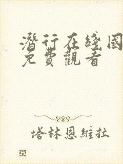 潜行在线国语版免费观看