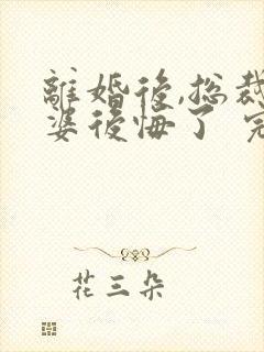 离婚后,总裁老婆后悔了 完结版