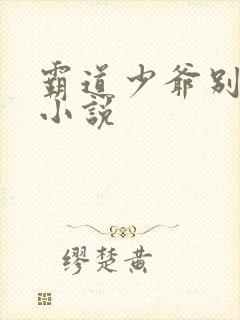 霸道少爷别吻我小说