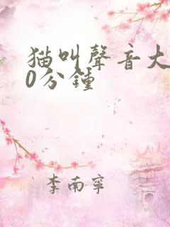 猫叫声音大全40分钟
