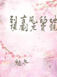 到有风的地方电视剧免费观看完整版