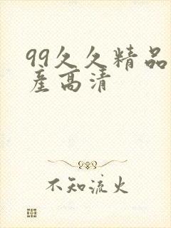 99久久精品国产高清