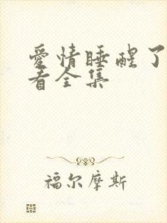 爱情睡醒了免费看全集