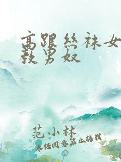 高跟丝袜女王调教男奴