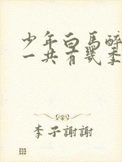 少年白马醉春风一共有几季