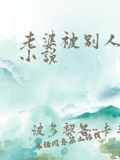 老婆被别人操的小说