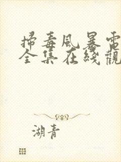 扫毒风暴电视剧全集在线观看高清