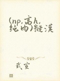 (np,高h,纯肉)糙汉