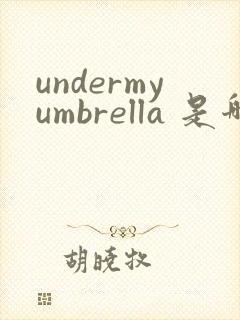 undermyumbrella 是哪首歌的歌词