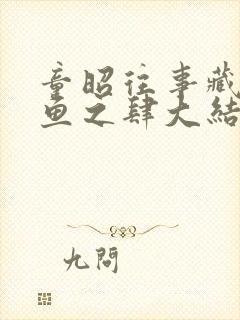 童昭往事藏匿枯鱼之肆大结局哪里看