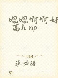 嗯嗯啊啊好爽啊 高h np