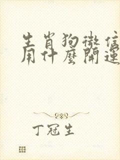 生肖狗微信头像用什么开运提升运气的