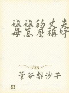 姐姐的丈夫的父母怎么称呼