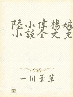 陆小伟杨婉秋的小说全文免费阅读