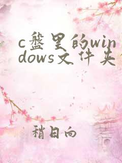 c盘里的windows文件夹的winsxs是什么