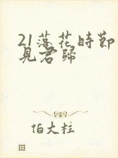 21落花时节又见君归