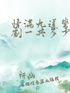 情满九道弯电视剧一共多少集