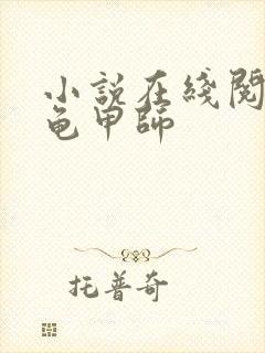 小说在线阅读大龟甲师