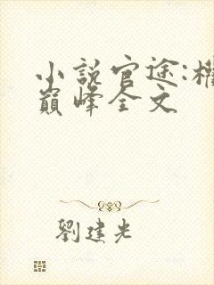 小说官途:权力巅峰全文